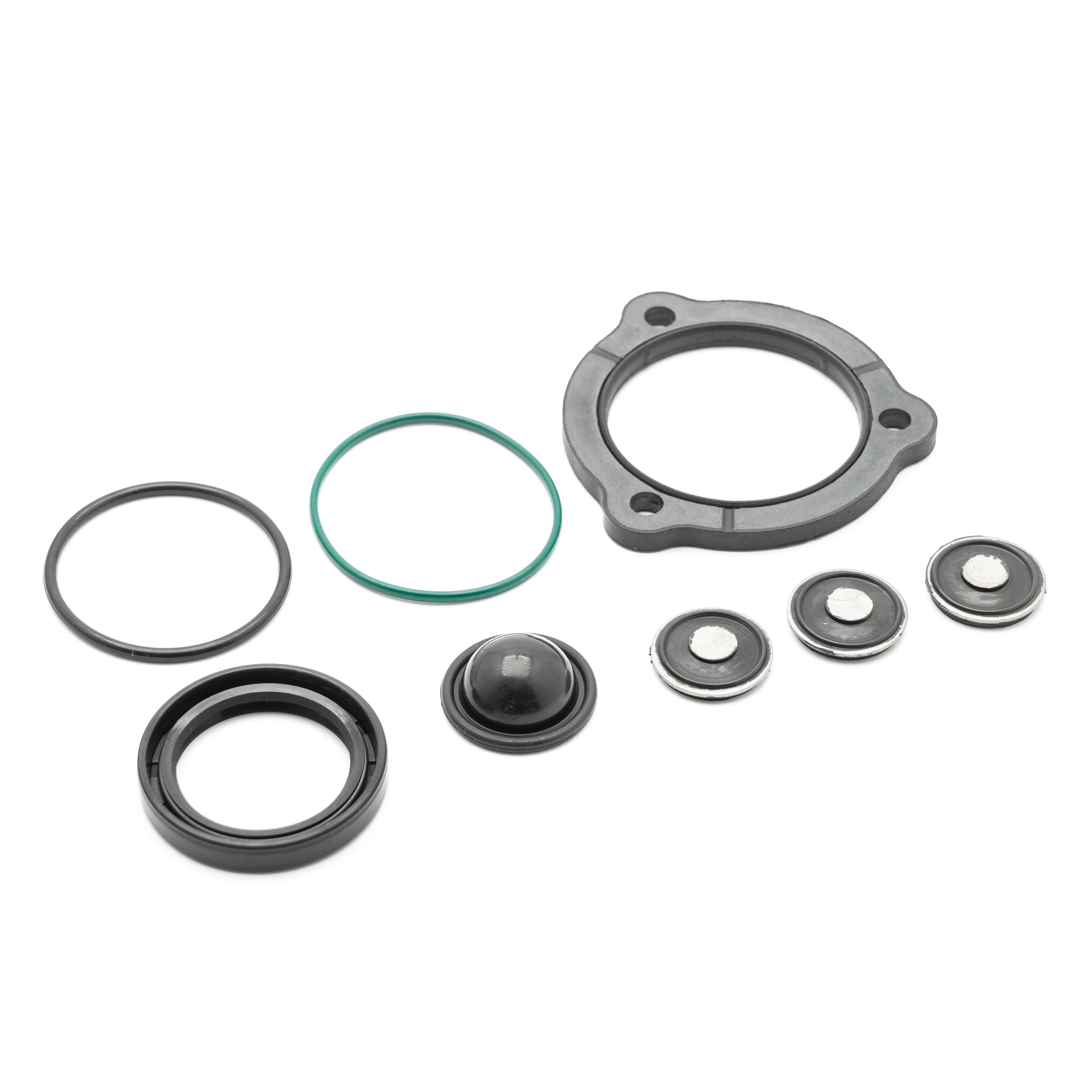 Complete repair kit for injection pump GM Opel z22yh 2.2 and Peugeot, Citroen 2.0 HPi 93174538 24465785 1