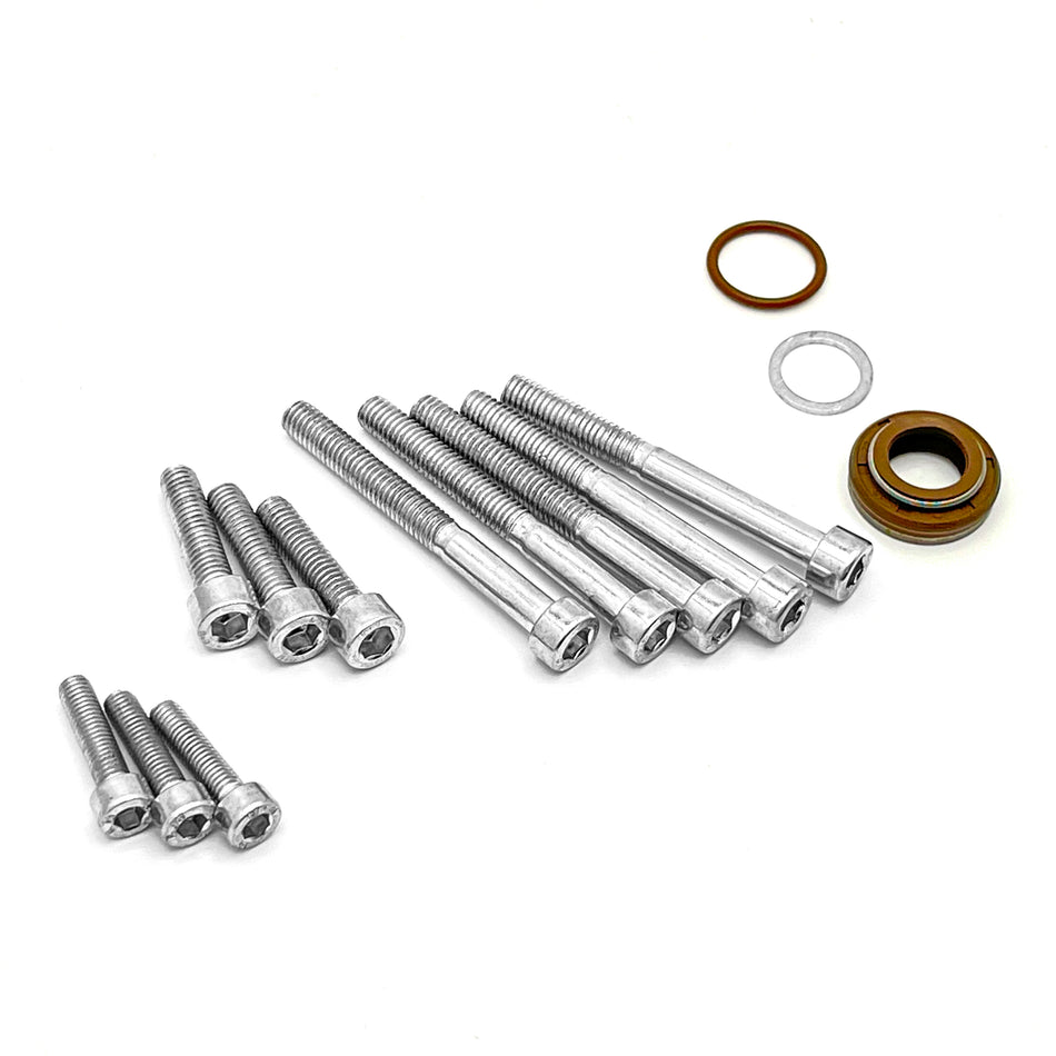 Repair kit for tandem vacuum pump VAG 1.9TDI / 2.0SDI / 2.0TDI 038145209Q